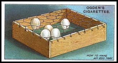 8 How to Make an Egg Tray